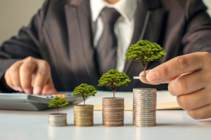Financial Awareness in Strategic Financial Planning